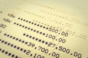 Account Statement for Debt, Income, and Bank Credit