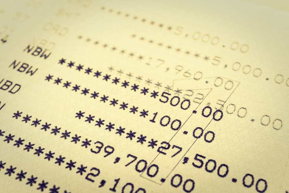 Account Statement for Debt, Income, and Bank Credit